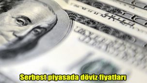 Serbest piyasada döviz fiyatları