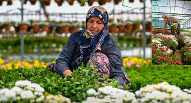 24. Uluslararası Bayındır Çiçek Festivali Başlıyor