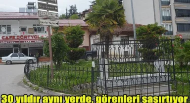 30 yıldır aynı yerde, görenleri şaşırtıyor