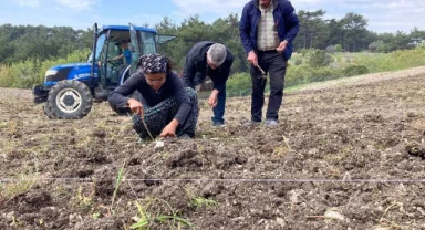 Bornova'da çiftçiye destek: "Türkiye'ye örnek olacak bir model"