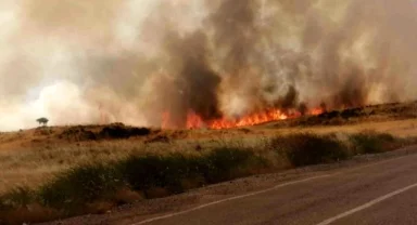 Buğday tarlası küle döndü