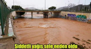 Şiddetli yağış sele neden oldu