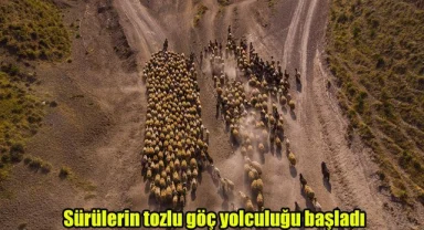 Sürülerin tozlu göç yolculuğu başladı