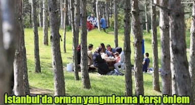 İstanbul'da orman yangınlarına karşı önlem