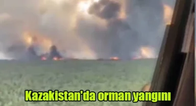 Kazakistan'da orman yangını