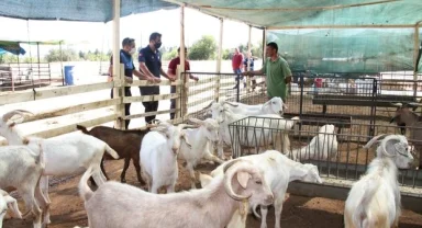 Menderes'te kurban yerleri hazır