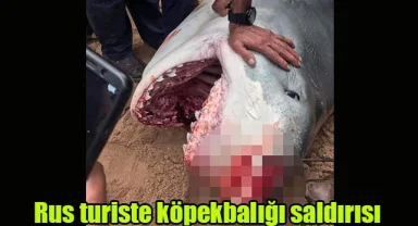 Rus turiste köpekbalığı saldırısı