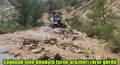 Sağanak sele dönüştü, tarım arazileri zarar gördü