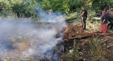 Yılandan korkup ormanı yakıyordu