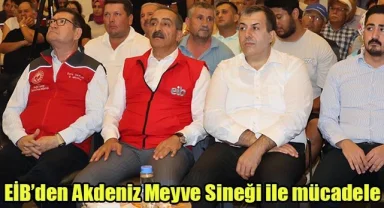 EİB’den Akdeniz Meyve Sineği ile mücadele