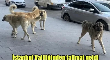 İstanbul Valiliğinden talimat geldi