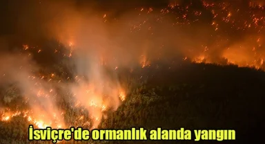 İsviçre'de ormanlık alanda yangın