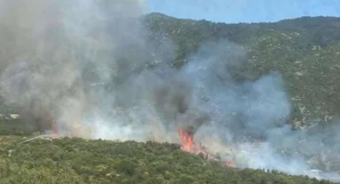 Kaş’ta orman yangını