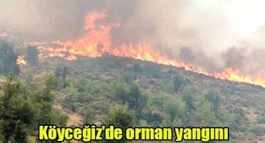 Köyceğiz’de orman yangını