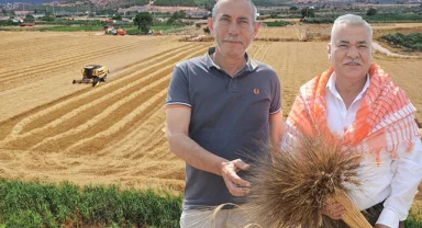 Torbalı Belediyesi buğday hasadını tamamladı