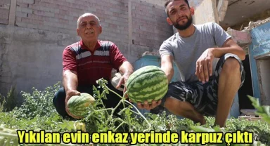 Yıkılan evin enkaz yerinde karpuz çıktı