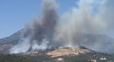 Antalya'da orman yangını