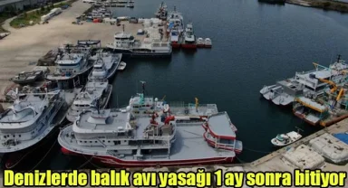 Denizlerde balık avı yasağı 1 ay sonra bitiyor