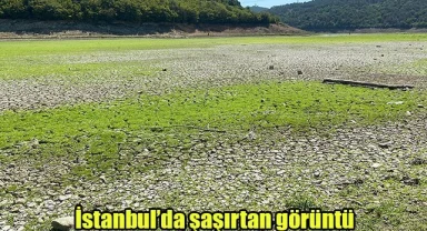 İstanbul’da şaşırtan görüntü