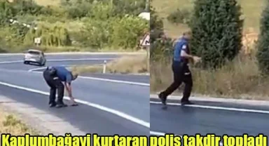 Kaplumbagayi kurtaran polis takdir topladi