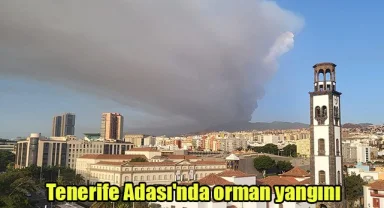 Tenerife Adası'nda orman yangını