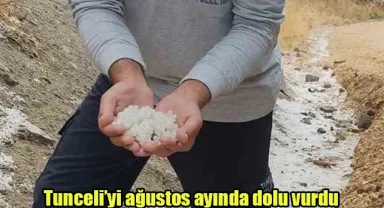 Tunceli’yi ağustos ayında dolu vurdu