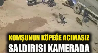 İzmir’de köpeğe hortumlu, sandalyeli ve kürekli saldırı kamerada