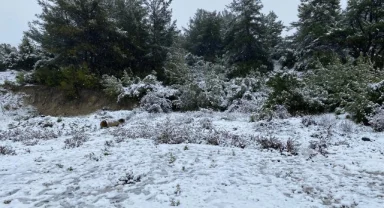 İzmir'in yüksek kesimleri beyaza büründü