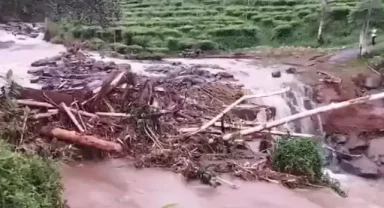 Endonezya'da sel ve toprak kayması: 16 ölü