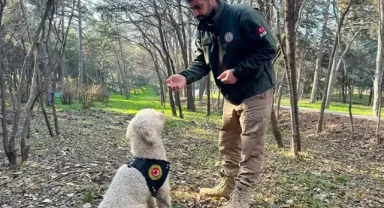 Bakanlığın dedektör köpekleriyle 1 ayda 4,1 ton uyuşturucu ele geçirildi