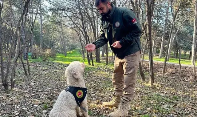 Bakanlığın dedektör köpekleriyle 1 ayda 4,1 ton uyuşturucu ele geçirildi