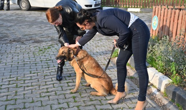 Manisa Büyükşehir’den hayvan sahiplenmeye teşvik kampanyası