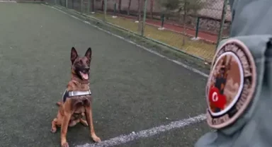 Sahibinin yurt dışına çıkarken verdiği ‘Risko’ narkotik köpeği oldu, operasyonlarda tonlarca uyuşturucu ele geçirildi