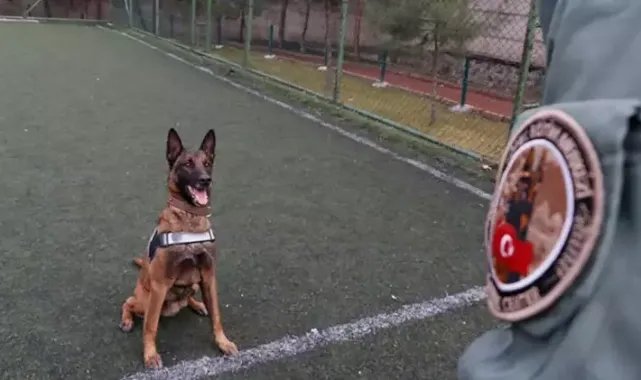 Sahibinin yurt dışına çıkarken verdiği ‘Risko’ narkotik köpeği oldu, operasyonlarda tonlarca uyuşturucu ele geçirildi