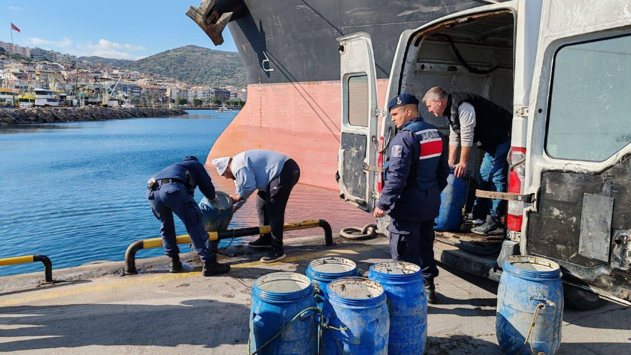 Yasadışı yollarla avlanan deniz patlıcanları denize salındı