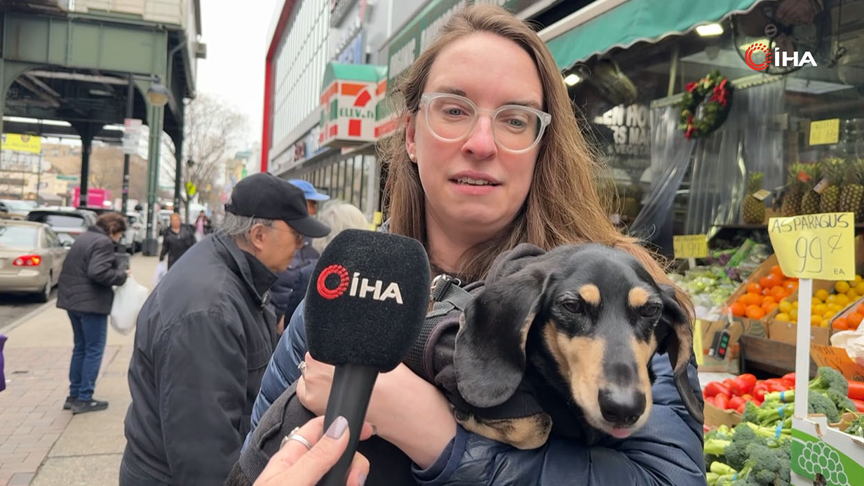 ABD eyaletlerinde köpek sahiplerine yönelik yıllık vergilendirme genişletiliyor