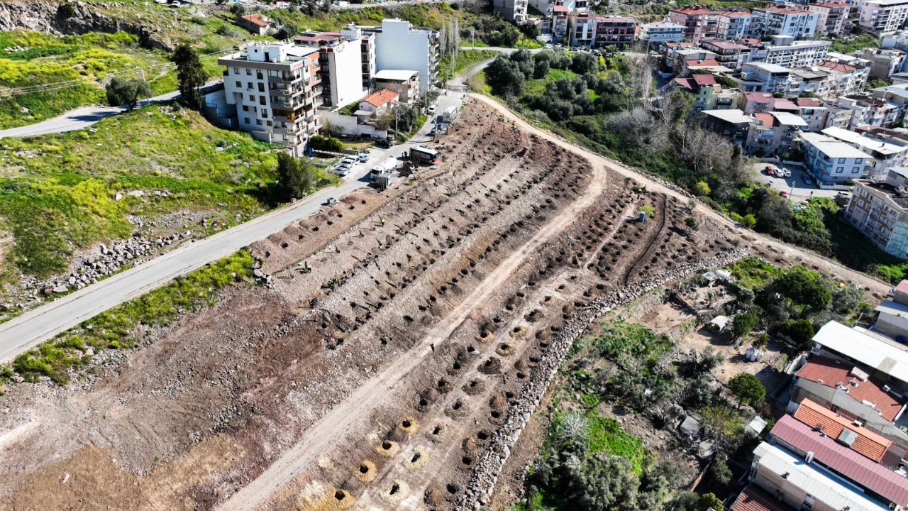 Başkan Tugay’ın başlattığı ağaçlandırma seferberliği sürüyor